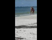 Two women in bikini formed a heart at the beach