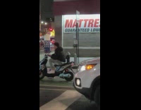 Man and Lady Reacts at Raccoon in City