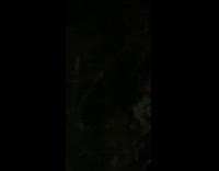 Guy helps friend got stuck in bushes