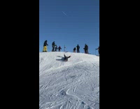 Girl jumps out of skis slides down 