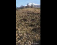 Guy rides snow machine on hill and flips over down hill