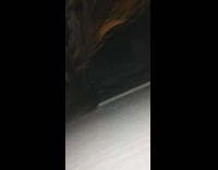 Pet dog scratches door while filmer slide phone underneath the door