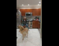 Man large googly eyes call brown dog name