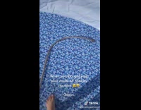 Person records the progress of their outdoor pool filling slowly 