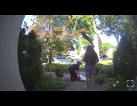Boy carries headboard bed frame then fell