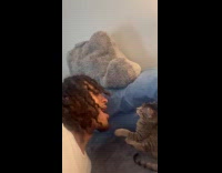 Collab ClipsIG - Gray kitten falls from bed playing with hooman