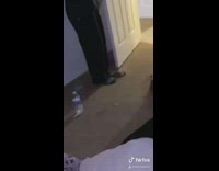 Collab BitchMP - Hoodie woman opens door for hamster