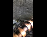 Collab BitchMP - Rescuing ducks from drain part 2