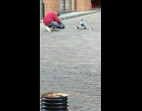 Guy red sweater stuffed toy on skateboard