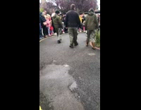 Collab BitchMP - Penguin gets distracted and smells shoe during parade