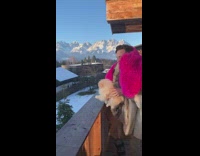 lion king song dog held in sky 