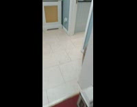 Broken vase on floor black dog sit other room