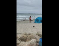 Orange black bikini girl tiktok beach tent