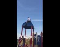 a boy jumps from one playground roof to other