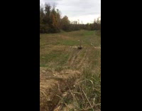 blue atv four wheeler small hill makes it