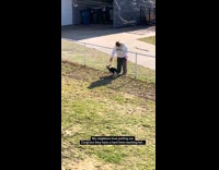 Elderly neighbors makes stairs for dog on yard