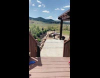 Collab BitchMP - Moose approaches woman with broom in yard