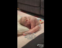 Baby looks down and inspects her stomach 