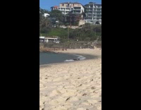 Guy roll over worm crawl towards beach