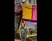 Police officer riding confiscated carriage on street