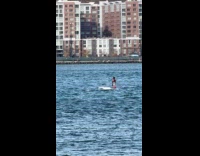 Person paddle boarding on Hudson river 
