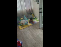 Young boy hear intro watch DDOI video