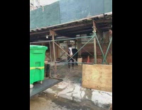 Horse tied to a scaffolding street sidewalk