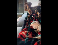 Collab Clips_MPUGC2 - Dogs scared of orbeez stress ball