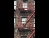 Raccoon walks around red apartment fire escape