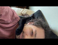 Cat stretches its arms behind its owner