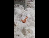 Toy baby doll upside down in snow 