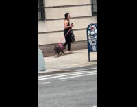 Collab WINY - Woman pet pig on pink leash street