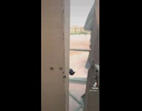 Army guy stuck in moving portapotty 