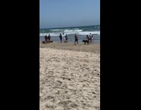 Man workout video lift weights beach