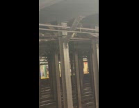 Racoon crawling through metal pillars on subway