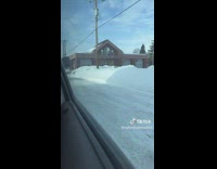 Deer hopping down snow street chased 