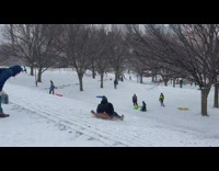 Guy tries to sled with piece of cardboard but fails to get speed 
