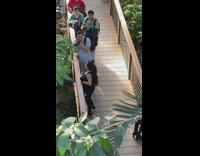 Woman tries to put leg across bridge and take picture