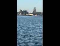 Kangaroo hop across high tide sand dune 