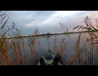 Birds migrate in left and right direction with loud sound