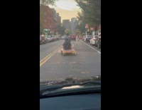 Collab WINY - Motorcycle pull man ride on wheeled wooden board