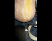 Butternut squash with sap dripping from peeled area 