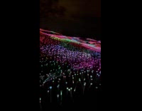 Guy films field of lights at Sensorio