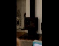 Cat steals chicken nugget