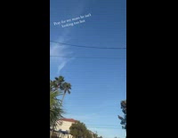 Collab BitchMP - Squirrel hanging onto powerline 