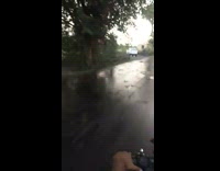 Motorcycle ride foggy weather fallen trees traffic