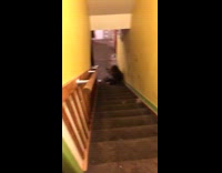 girl black shirt falling down stairs slow mo