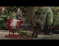 Man Goes Through Christmas Tree Net Tool