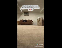 Collab KaleSaladIG - the purge mom xbox tik tok