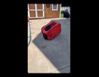 Dog jumps inside crate rolls around yard